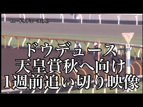 ドウデュース 天皇賞秋へ向け1週前追い切り映像