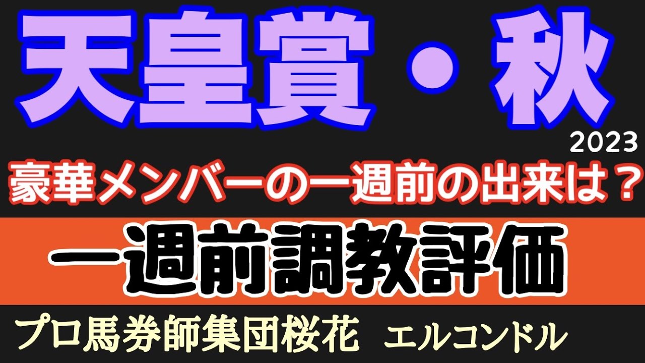プロ馬券師集団桜花のエルコンドル氏の天皇賞秋一週前調教評価！！豪華メンバー揃った今年の天皇賞は目が離せない！イクイノックスは万全か？人気薄にも状態面が上向きの面白い馬がいるか？！