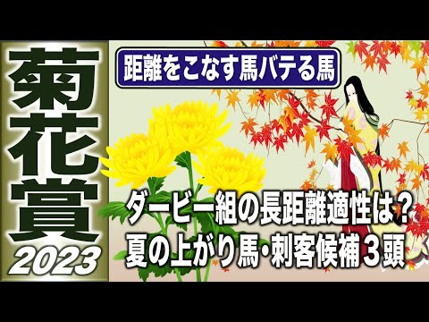 菊花賞2023　Ｇ１血統解析　ダービー組の長距離適性は？　夏の上がり馬を正しくセレクトせよ　【計算する血統】No.200