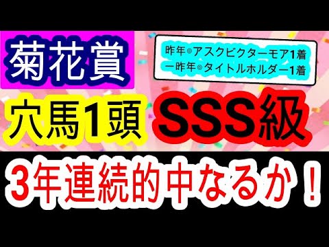 【競馬予想】菊花賞2023　データ　枠順最高！　間違いなく大波乱を演出する1頭が見つかりました！！