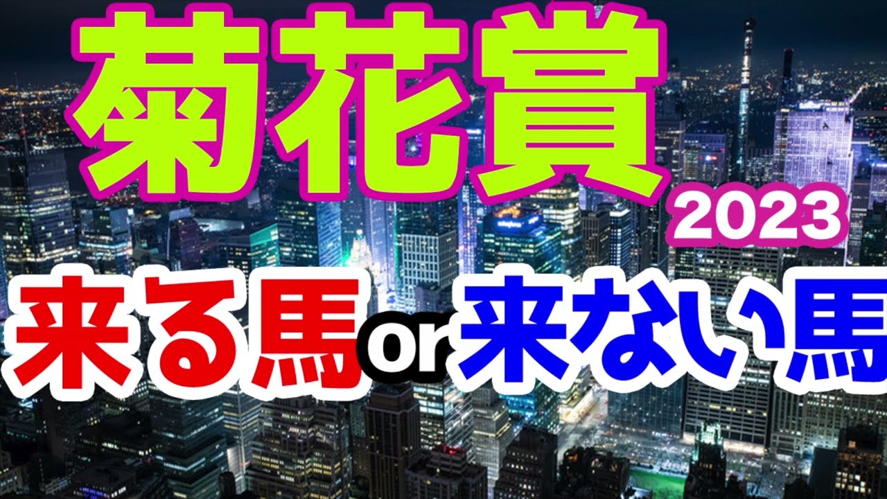 【競馬予想】菊花賞2023 アノ馬はこない馬！