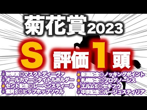 菊花賞2023 予想　混迷模様も買える馬は明確！最高評価はただ一頭、この馬だ！！