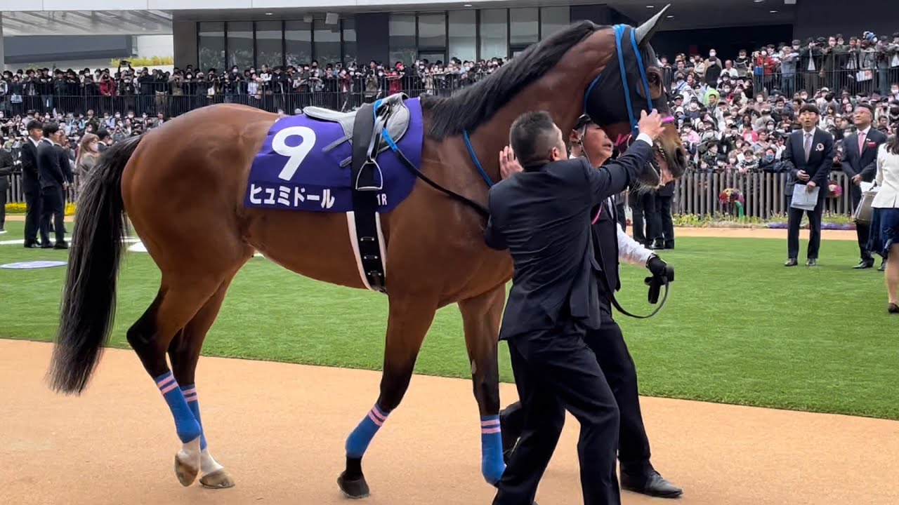 【天皇賞春2023】小走りでヒュミドールに駆け寄り我が子のように身だしなみを整える小手川調教師【オルフェーヴル産駒】