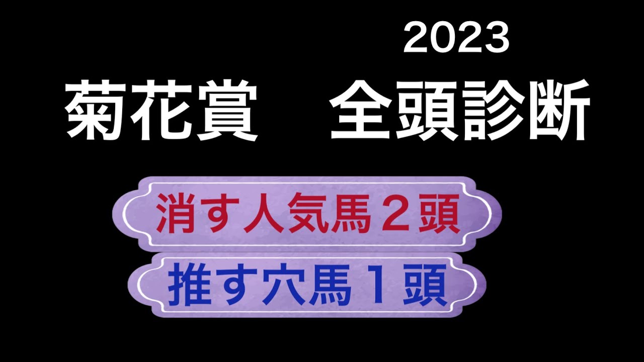 【競馬予想】 菊花賞　2023  全頭診断　事前予想