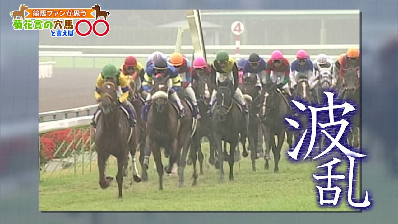 「菊花賞の穴馬と言えば○○」（2023年10月15日放送）