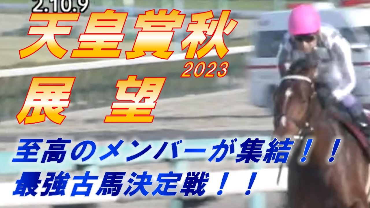 天皇賞秋2023　展望　イクイノックス VS  ドウデュース　「左回り」が二頭の明暗を分ける！？　元馬術選手のコラム by アラシ