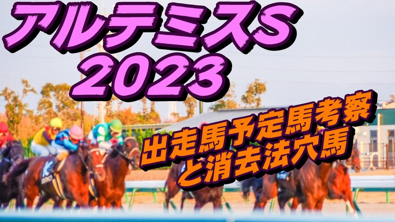 【アルテミスステークス2023】出走馬予定馬データ分析と消去法予想