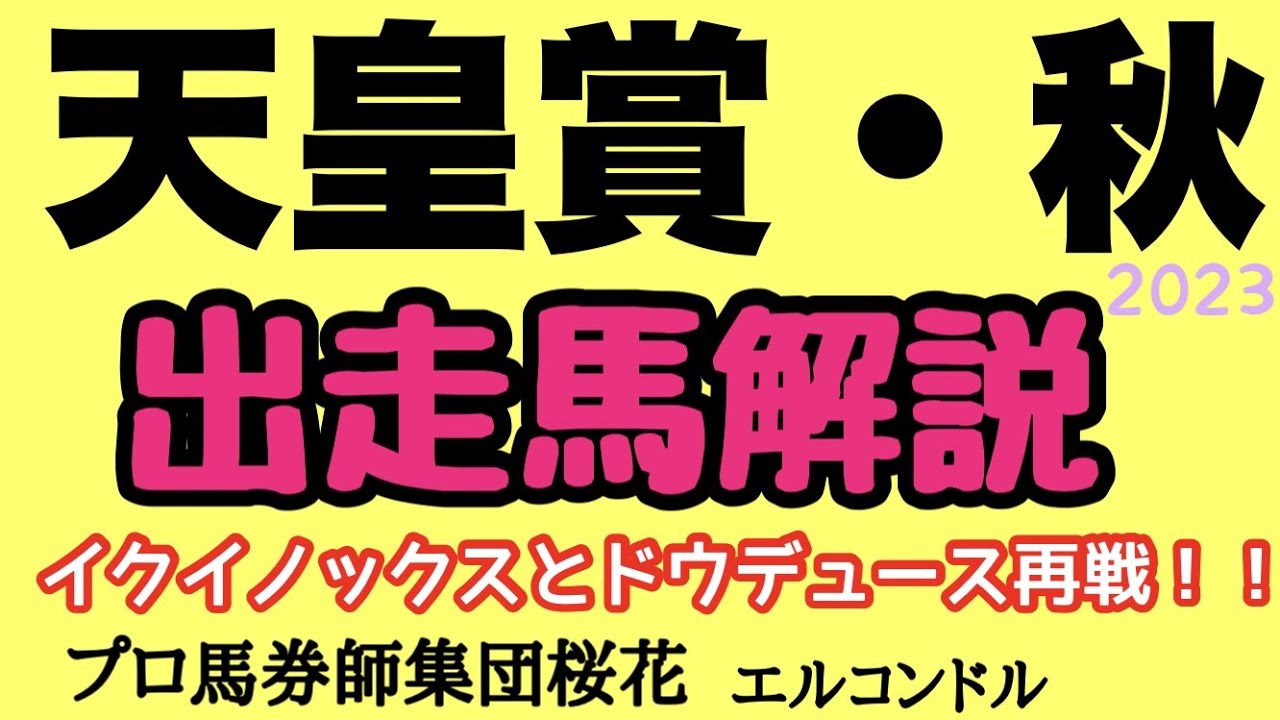 プロ馬券師集団桜花エルコンドル氏の天皇賞秋2023出走馬解説！！イクイノックスとドウデュースのダービー以来の再戦！現役屈指の2強に割って入れる馬はいるかも注目したい！
