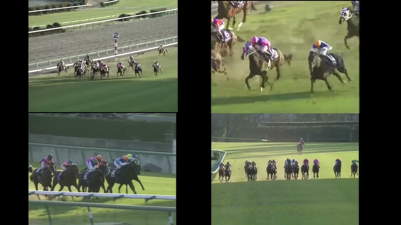 テイエムオペラオー 2000年有馬記念 最後の400m マルチアングル