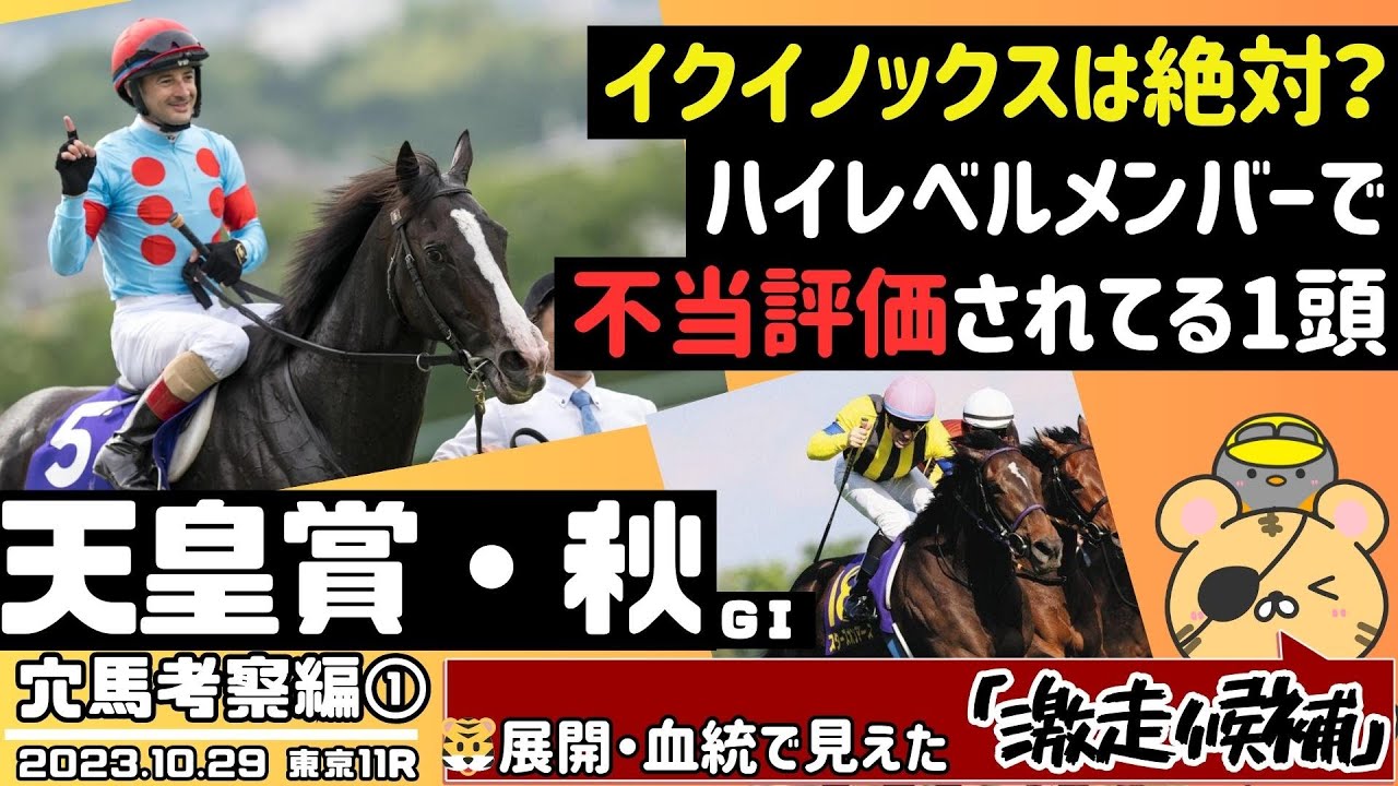 【天皇賞秋2023最終結論】イクイノックスをも打ち破る期待をかけたい1頭。君はあの騎手を信じられるか？【競馬予想】