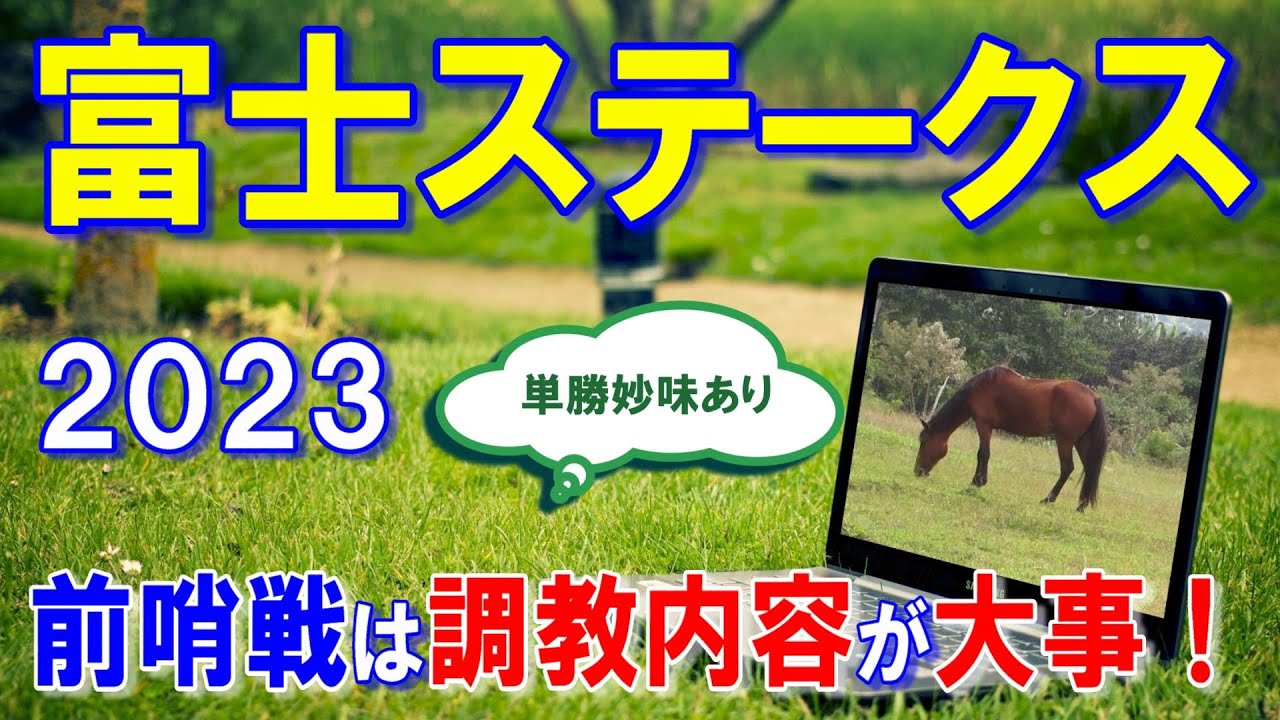 富士ステークス【2023予想】実力差拮抗の混戦ムードで高配含みのレース！