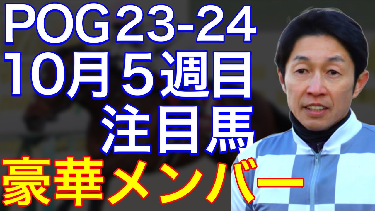 【POG/23-24】10月５週目デビューの注目新馬を紹介【天皇賞デーに豪華メンバーが集結！】