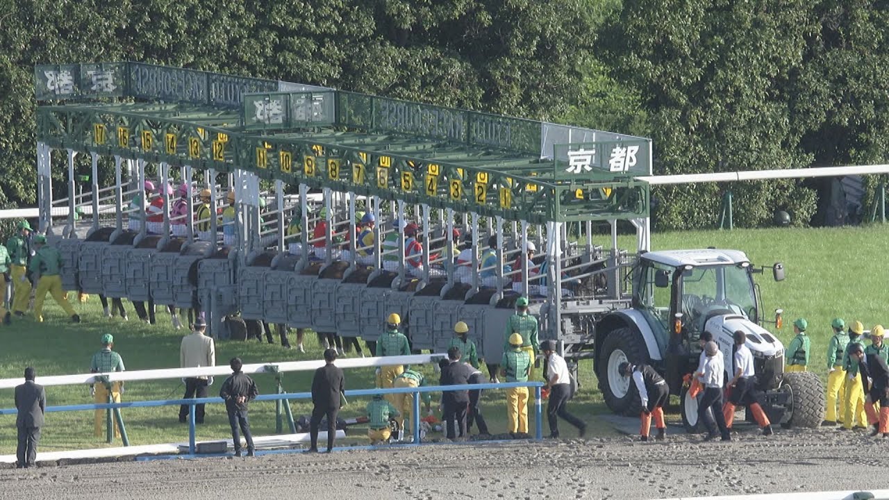 2023 KIKUKA SHO  (G1) | JRA Official