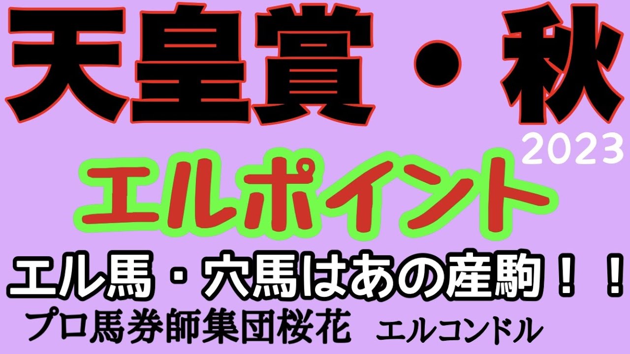 プロ馬券師集団桜花エルコンドル氏の天皇賞秋2023エルポイント！！イクイノックスに死角はありやなしや？！穴馬候補に必要なポイントとは！