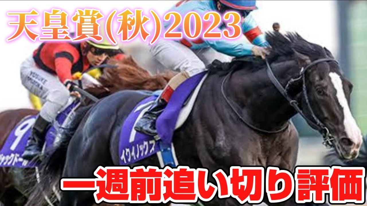 天皇賞秋2023 一週前追い切り評価