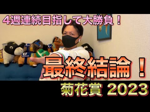 【菊花賞 2023】最終結論！高配当狙った気合いの勝負！買った馬券はこれ！
