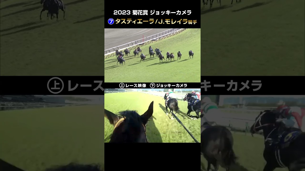 【ジョッキーカメラ×レース映像】2023年菊花賞 タスティエーラ  J.モレイラ騎手 #shorts ｜JRA公式