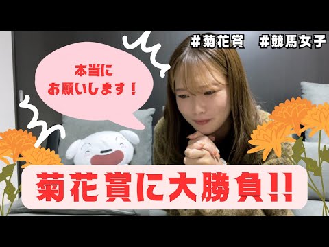 【ぐるる競馬】菊花賞！ぐるるの本気見せます