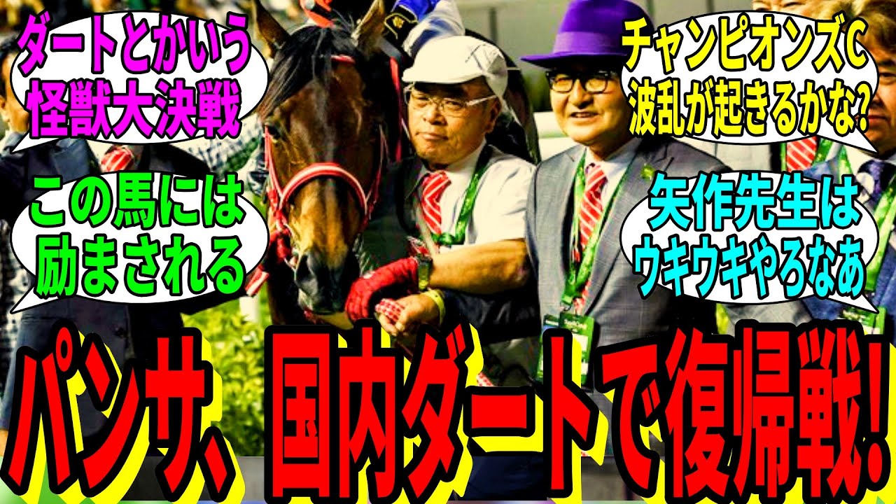 【競馬の反応集】「パンサラッサ、チャンピオンズカップで復帰」に対する視聴者の反応集