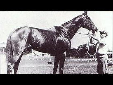 第６回　東京優駿大競走（日本ダービー）　ヒサトモ　牝３　53　中島時一　1937.4.29　　出走馬：サンダーランド、ツバクロダケ、ゼネラル、ガイカ、アヂマス、カブト、フアインモア、ミスターシービー他