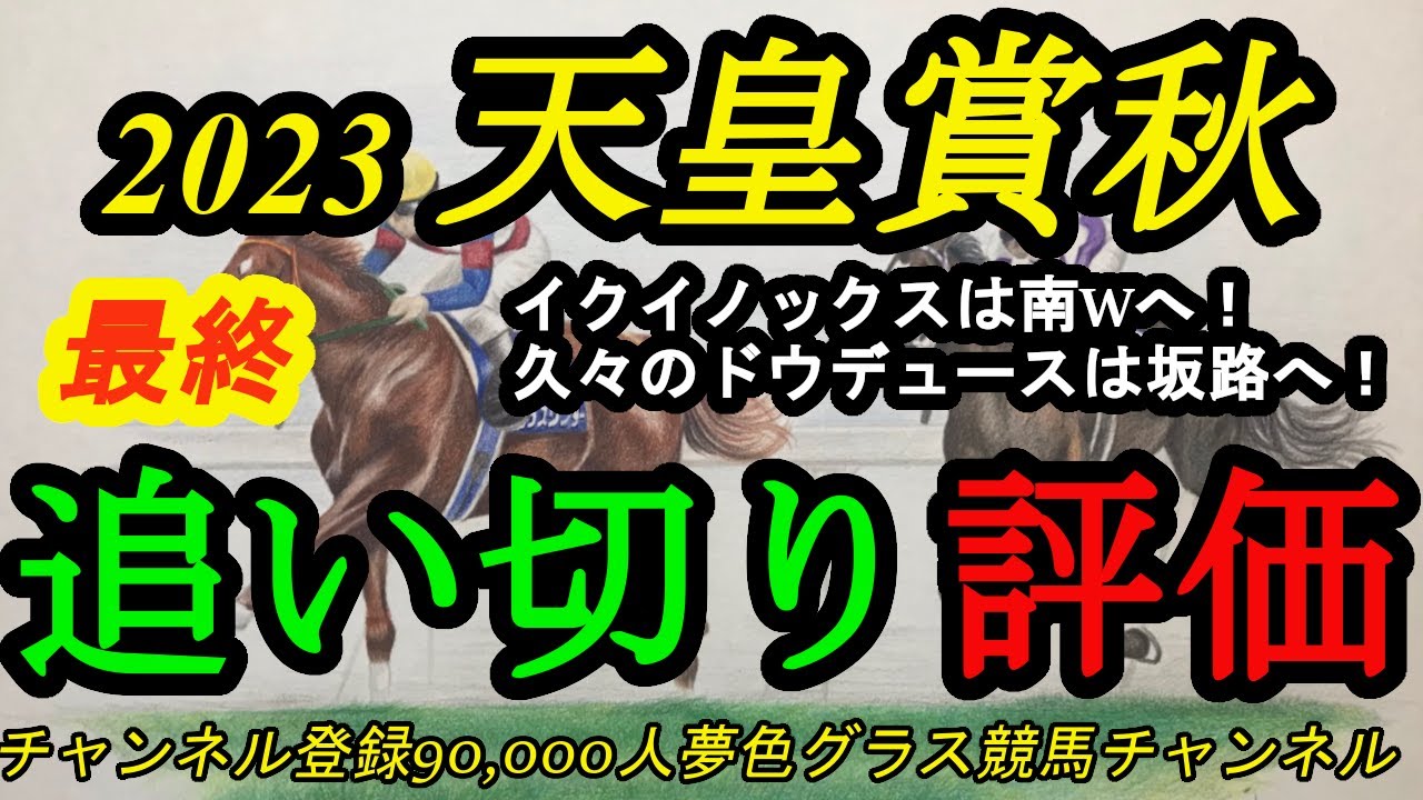 【最終追い切り評価】2023天皇賞秋！イクイノックスはいつも通り南W！ドウデュースは初の坂路最終追い切り！