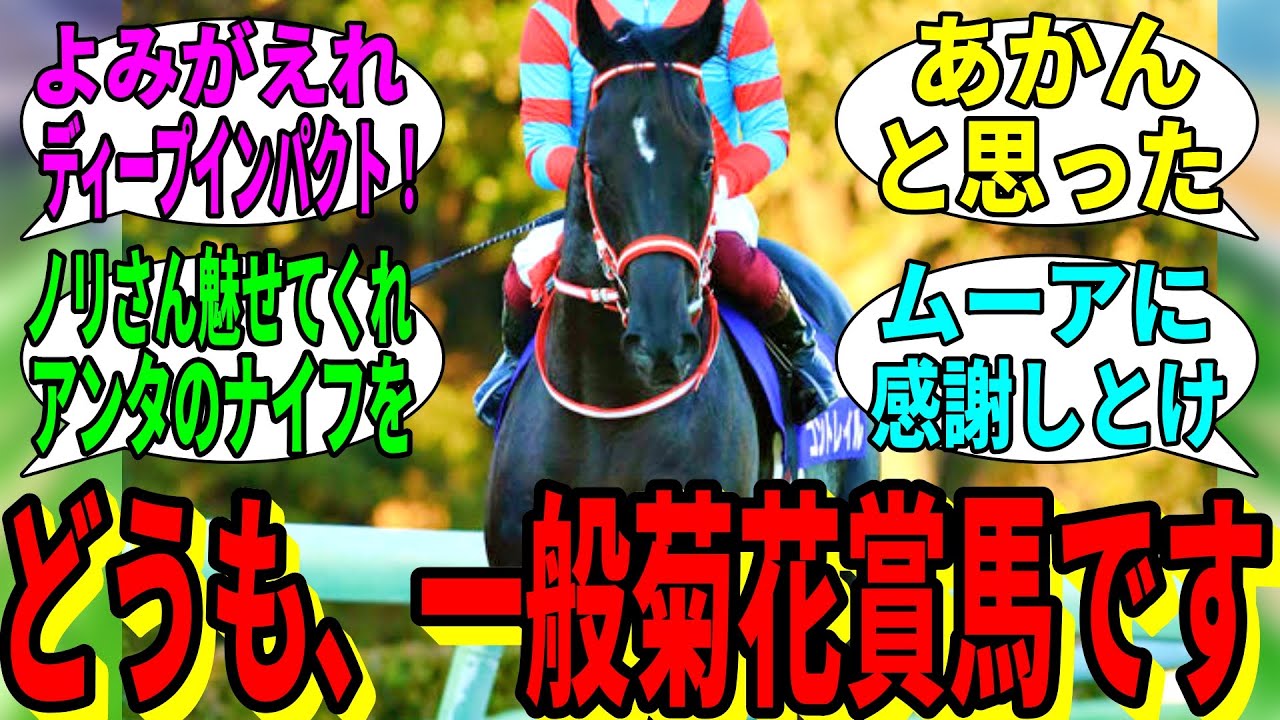 【競馬の反応集】「菊花賞なので、一般菊花賞馬からアドバイス」に対する視聴者の反応集