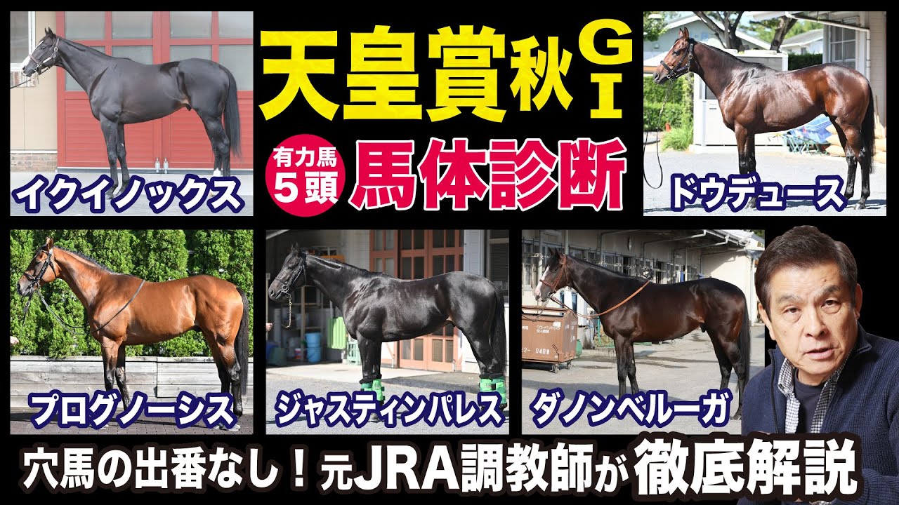 【天皇賞・秋2023】中村均元調教師が馬体診断　イクイノックスは絵画のように美しい…有力馬５頭を徹底解説《東スポ競馬ニュース》