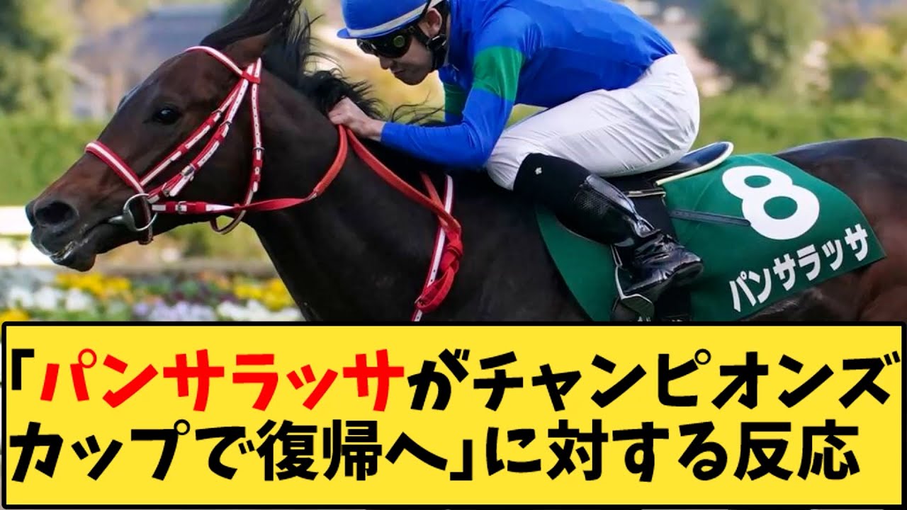 【競馬】「パンサラッサがチャンピオンズカップで復帰へ」に対する反応【反応集】