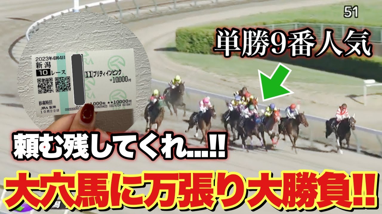 【菊花賞2023】メインレース前から大穴にも迷わず大勝負する女の結末とは...！？