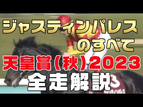 【ジャスティンパレスのすべて】（天皇賞秋2023）新馬戦から前走までのレースぶりを振り返ってみました。