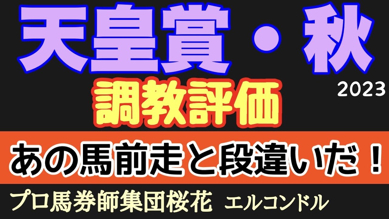 プロ馬券師集団桜花エルコンドル氏の天皇賞秋2023調教評価！！再戦で注目集める2頭の出来やいかに！各馬の動きに僅かな明暗の差が分かれるなか抜群の気配の馬も！？