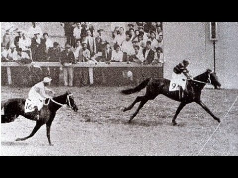 【幻の馬】第１８回　東京優駿（日本ダービー）　トキノミノル　牡３　57　岩下密政　1951.6.3　　出走馬：イツセイ、ミツハタ、ヒロホマレ、オリオン、ギンザタイム、クリミノル、オールウエザー他