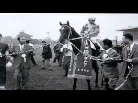 第２９回　東京優駿（日本ダービー）　フエアーウイン　牡３　57　高橋英夫　1962.5.27　　出走馬：ヤマノオー、コレヒサ、スズホープ 、ゴールデンスター、キングオンワード、リユウフオーレル他