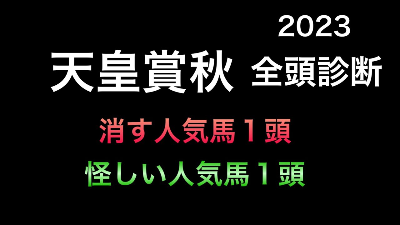 【競馬予想】　天皇賞秋　2023  全頭診断　事前予想