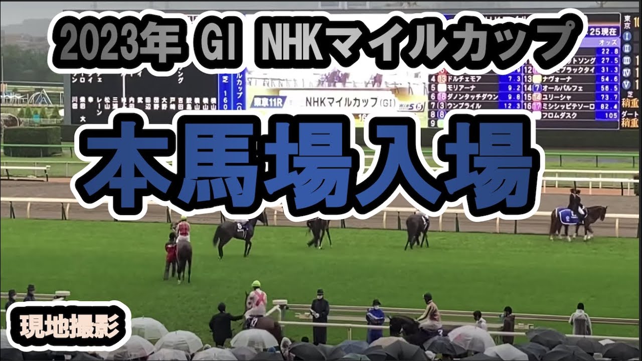【現地】2023/05/07 G1 NHKマイルカップ  本馬場入場 Glory【東京競馬場】