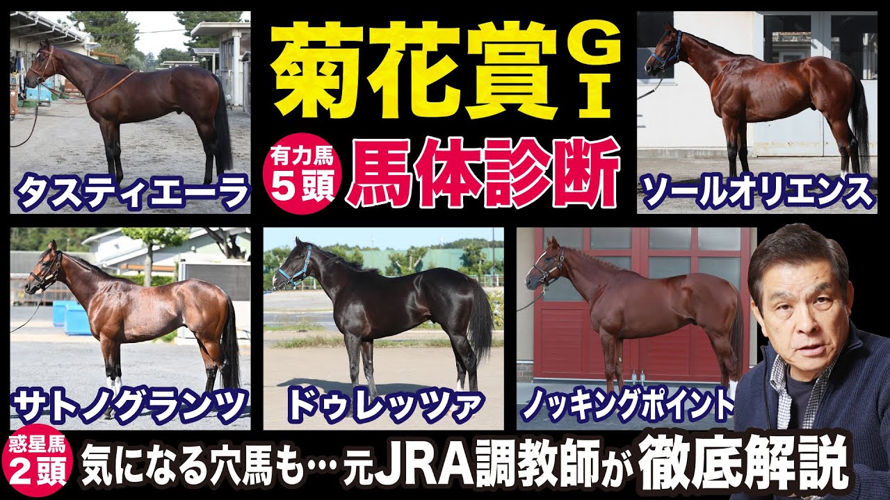 【菊花賞2023】中村均元調教師が馬体診断　有力馬５頭＋気になる２頭を徹底解説《東スポ競馬ニュース》