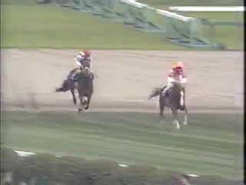 ２００１年中山グランドジャンプ