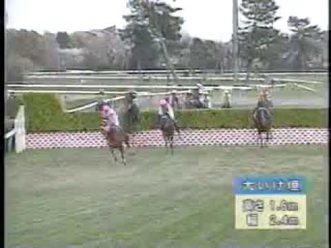 2005年中山グランドジャンプ