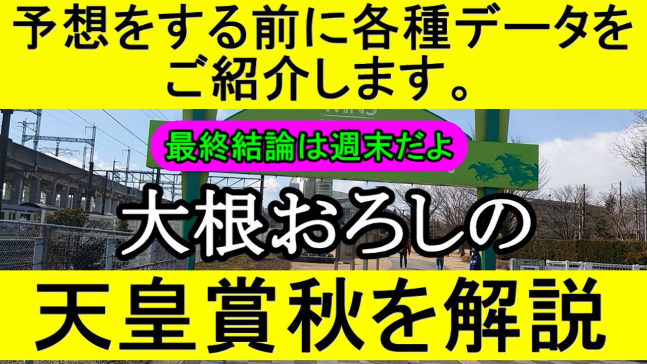 天皇賞秋2023を予想をする前に知っておいてほしい各種データ【大根おろし】