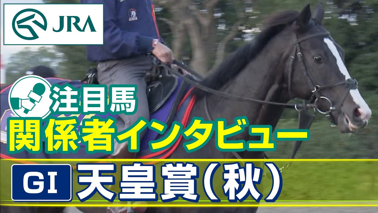 【注目馬 関係者インタビュー】2023年 天皇賞（秋）｜JRA公式