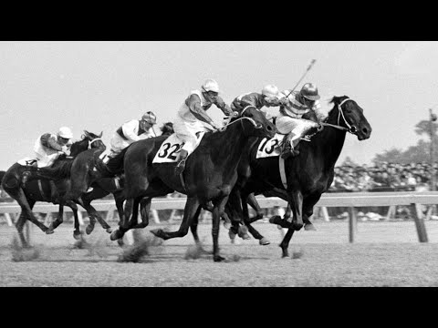 第２８回　東京優駿（日本ダービー）　ハクシヨウ　牡３　57　保田隆芳　1961.5.28　　出走馬：メジロオー、チトセホープ、ケンカツプ、ユキロウ 、カネアサヒ、キンテキ、リユウライト、アサカブト他