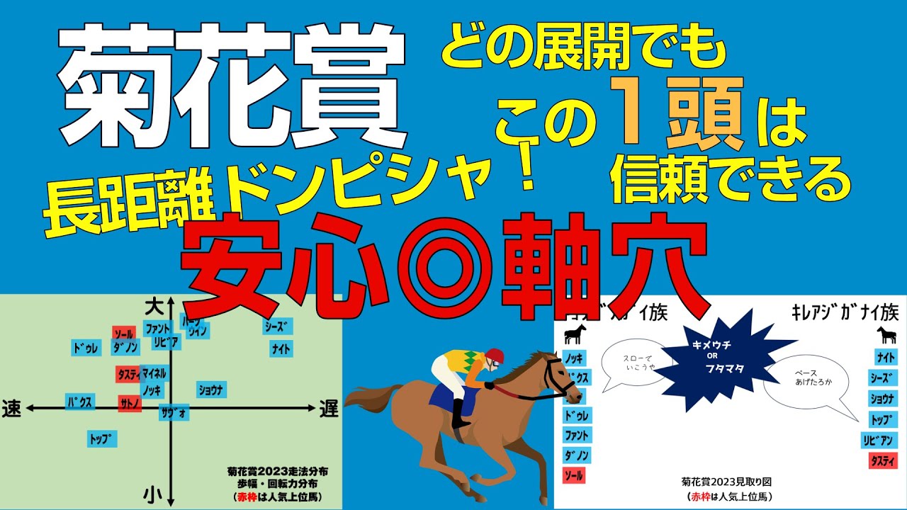 菊花賞2023本命は長距離ドンピシャ穴馬！「安心して軸にできる」
