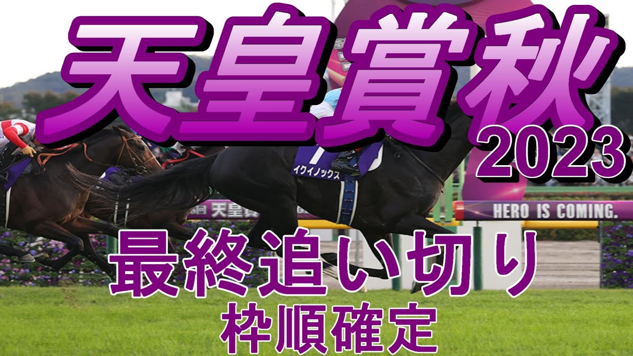 【天皇賞秋2023】第168回天皇賞秋最終追い切り(枠順確定)