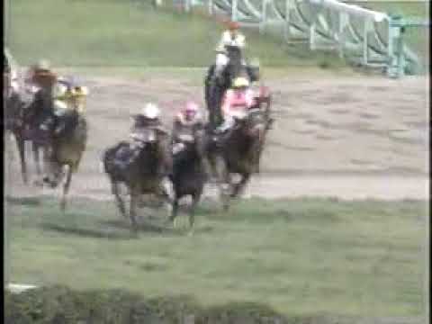 2006年中山グランドジャンプ
