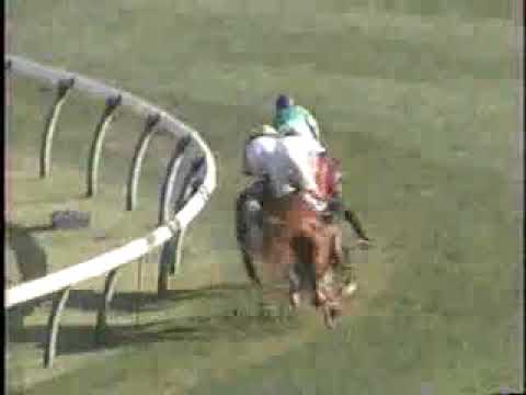2007年中山グランドジャンプ