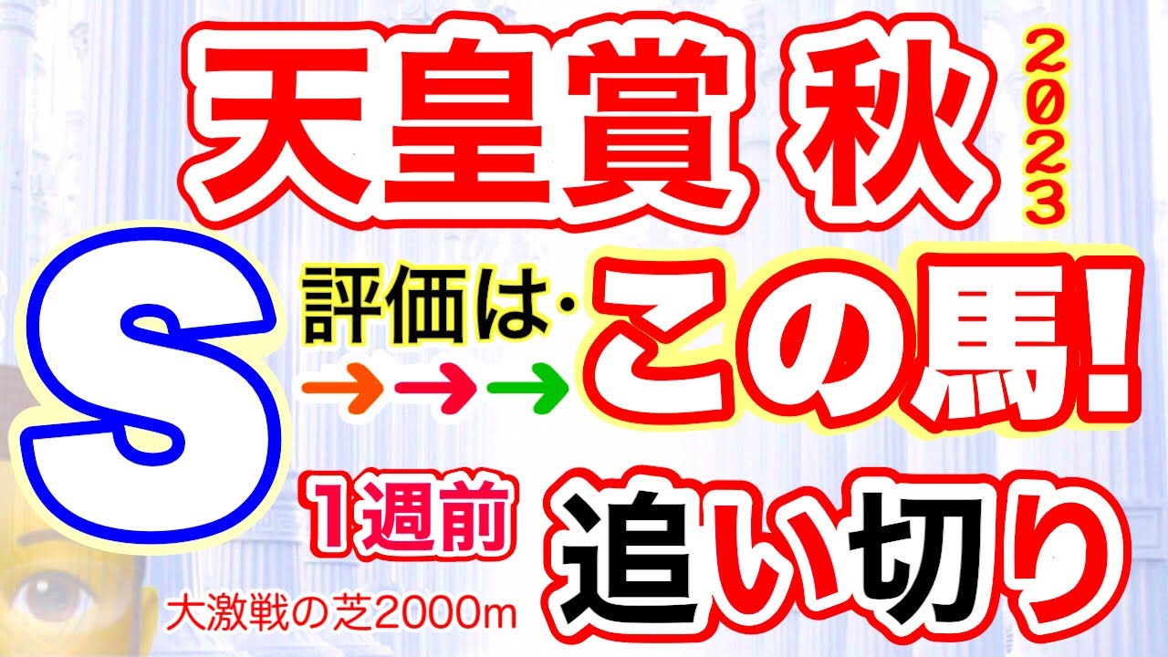 穴党専科！東京競馬【天皇賞秋2023】しーいちの1週前追い切り評価