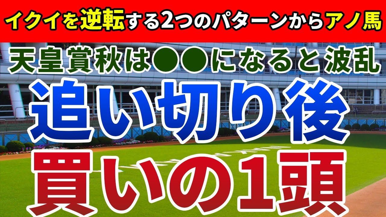 天皇賞秋2023 追い切り後【買いの1頭】公開！イクイノックス以外が頭の3連単で勝負！展開と状態面から期待したい1頭は？