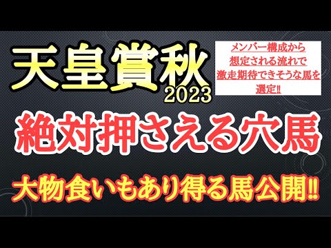【天皇賞秋2023】穴馬予想！今回のメンバーで想定される流れが合いそうで有力馬たちにアッと言わせる激走が見込めそうな厳選2頭を公開！