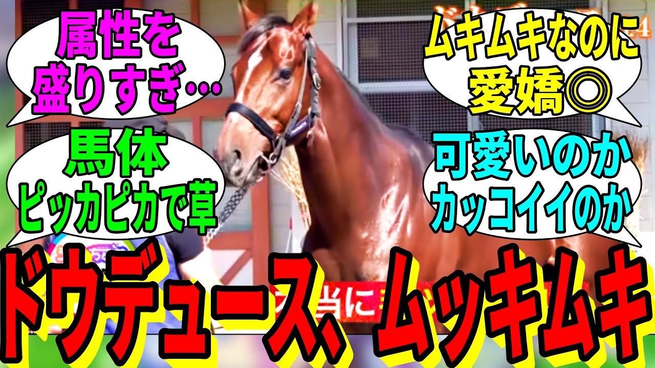 【競馬の反応集】「ドウデュース、天皇賞秋に向けてムッチムチに」に対する視聴者の反応集