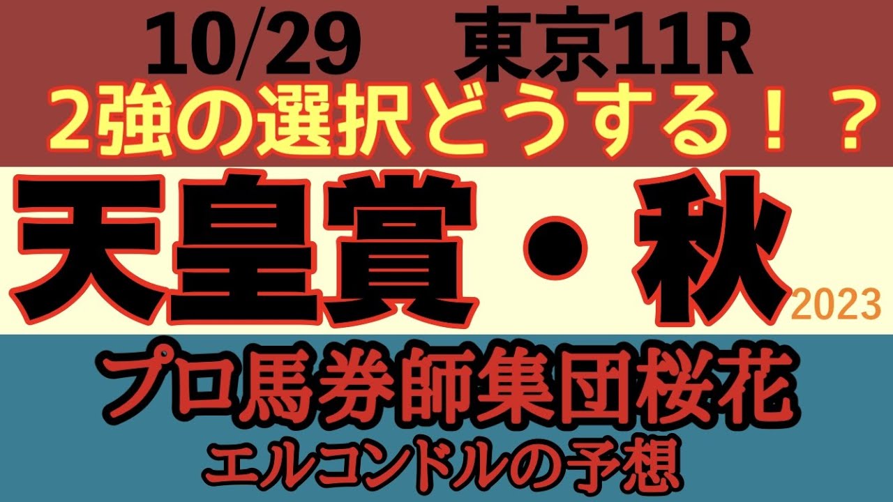 プロ馬券師集団桜花エルコンドル氏の天皇賞秋2023予想！！競馬ファン待望の2強の激突がいよいよ迫る！2強の選択が大きなポイント！どちらがこのレースに向き勝負度合いが高い！？